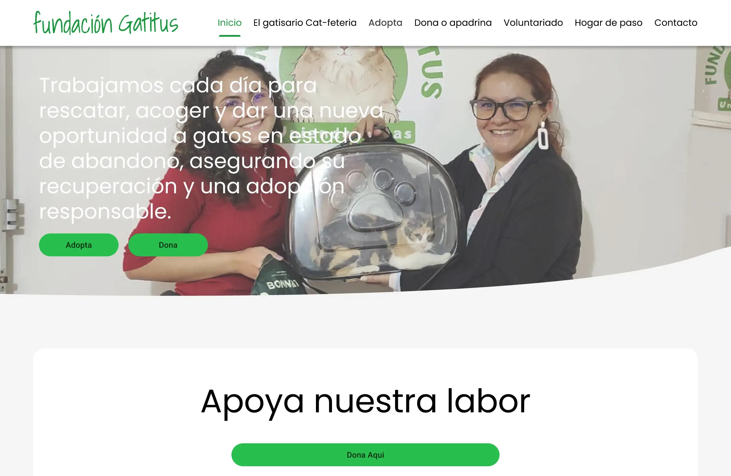 Gatitus Project